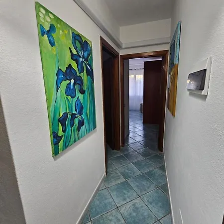 公寓 Casa Li Conchi 阿尔扎凯纳